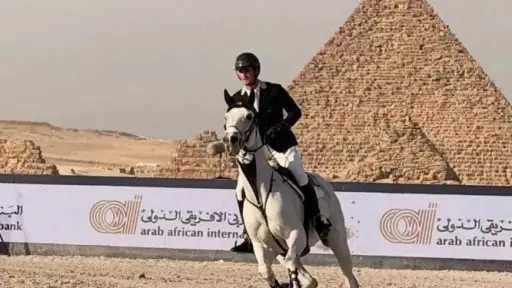 الشمول المالي