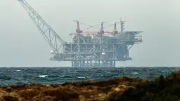 مصدران لـ"الشرق": واردات مصر من...