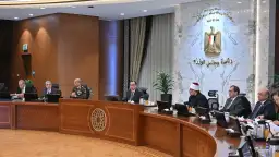 تعرف على قرارات مجلس الوزراء خلال...