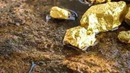 شلاتين تعيد طرح المزايدة العالمية...