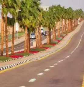 وزيرة البيئة تستعرض تقريرا حول...