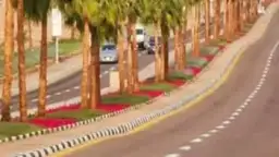 وزيرة البيئة تستعرض تقريرا حول...