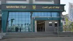 البنك الزراعي المصري يضخ 25.6...