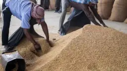 الهند تلغي السعر الأدنى لأرز...