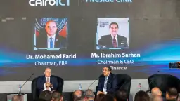 استدامة الخدمات المالية: ملخص أنشطة...