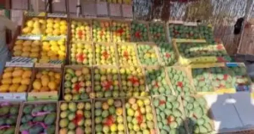 خلال اجتماعهما في روما.. وزير...