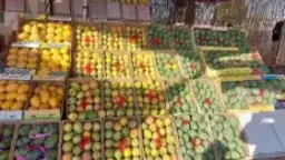 خلال اجتماعهما في روما.. وزير...