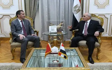 حثت مصر مع جمهورية الجبل...