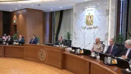 تعرف على قرارات مجلس الوزراء...