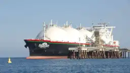 تفاصيل صفقات استيراد مصر لشحنات...