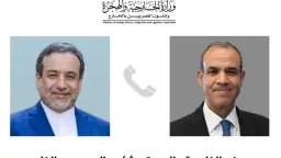 وزير الخارجية والهجرة يجرى اتصالا...