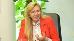 استقالة سهر الدماطى نائب رئيس...