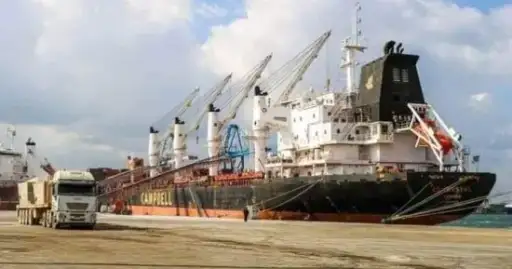 ميناء دمياط يستقبل ناقلة غاز...
