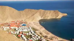 أرباح أوراسكوم للتنمية مصر تقفز...