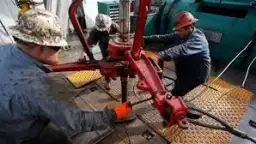 القوى العاملة: بدء قبول طلبات...