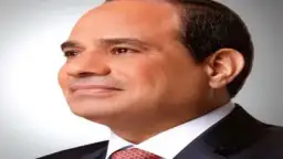 الرئيس السيسي ونظيره السوري يشددان...