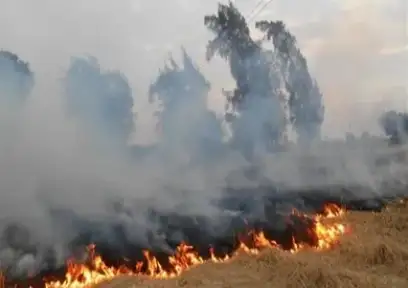 وزيرة البيئة: 1.2 مليار جنيه...