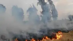 وزيرة البيئة: 1.2 مليار جنيه...