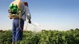 وزير التموين والتجارة الداخلية يشارك...