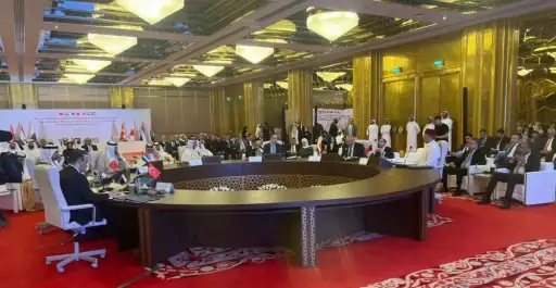 نائب رئيس مجلس الوزراء للتنمية...