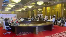 نائب رئيس مجلس الوزراء للتنمية...