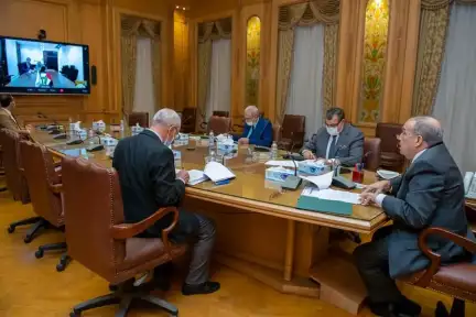 "وزير الدولة للإنتاج الحربي" يبحث...