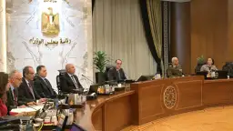 تعرف على قرارات مجلس الوزراء...