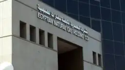 رويترز: إيجاس تعرض شحنة غاز...