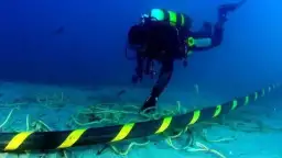 «المصرية للاتصالات» تعلن نجاح إنزال...